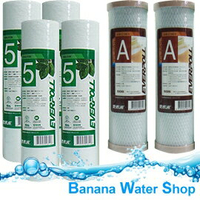 【Banana Water Shop免運費】《6支裝》EVERPOLL公司貨10英吋一年份濾心 EVB-F105x4支 / EVB-C100Ax2支