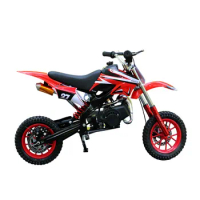 Mini Off-road Two-stroke Gasoline Motorcycle 49CC Gasoline Scooter Pneumatic Motorcycle