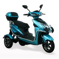 Electric motorcycle electric vehicle high-power adult battery car household elderly scooter electric tricycle custom