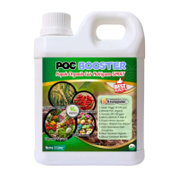 Pupuk pelebat buah cabe rawit, Pupuk penyubur tanaman Cabe Rawit, BOOSTER cabe Rawit INTERFARM Tanah