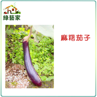 【綠藝家】G18.麻糬茄子(長型紫紅色 果皮)種子30顆