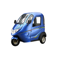 New Electric Tricycles 3 Wheel Electric Scooter Car For Sale