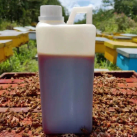 MADU ASLI RIAU DARI HUTAN RIAU AKASIA MADU HUTAN SUMATERA Honey