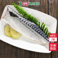 NG鯖魚片6kg/箱(含箱重約5.5-6kg/箱）【愛買冷凍】