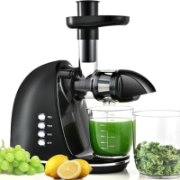 Slow Masticating Juicer,Cold Press Juicer with 2 Speed Modes &amp; Quiet Motor