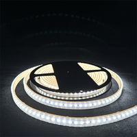 [現貨]LED燈條5米 白光黃光 燈條10mm加寬 120燈/M 可裁剪加厚背膠 戶外防水 LED 2835 CE認証
