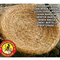 TARANGAN AYAM DAN BEBEK SARANG SUSUH SERAT JERAMI AYAM BANGKOK MENTOK BANYAK BEBEK ANGSA TEMPAT BERT