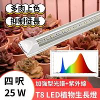 【JIUNPEY 君沛】3入組 T8 4呎 25W紫外線UV加強型植物燈管(植物生長燈)