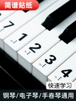 88/61/54鍵通用鋼琴鍵盤貼紙電子琴琴貼初學用五線譜簡譜鍵位貼紙