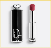 DIOR 迪奧全新魅惑口紅唇膏 ADDICT SHINE LIPSTICK #667 DIORMANIA 3.2G