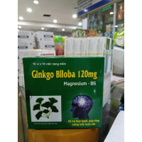 [Hàng đặc biệt] Viên Uống Bổ Não Ginkgo Biloba 120mg