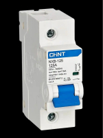MCB CHINT NXB-125 1P 10KA 80A 100A 125A