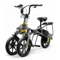Foldable 500w E Bicycle 2 Person Adult Electric Scooter 3 Wheel Electric Bike 48v