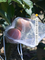 水果套袋防鳥防蟲專用網袋黃瓜苦瓜絲瓜葡萄無花果芒果桃子保護袋