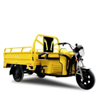 3 Wheel Electric Bike Electric Cargo Tricycle with Multiple Color Options in stock