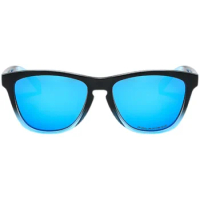 Cycling polarized sunglasses Simple beach unisex frogskin sunglasses Trend street glasses