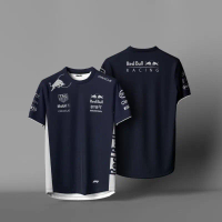 Red Bull Racing T-Shirt, Men'S Sport Short Sleeve T-Shirt, 3D Print, Daily Casual Oversized Fit, Red