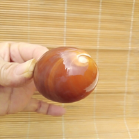 天然海螺貝殼紅貓眼螺 紅玉螺 蝸牛螺 水族魚缸造景 家居櫥窗裝飾