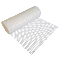 Top Selling PP Material Chicken Wire Mesh Plastic Net Floor for Broiler Cage Breeding on Chicken Farm Animal Husbandry Equipment