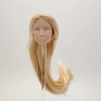 Fashion Royalty Nu.face Golden Color Hair Japan Skin Giselle Integrity 1/6 Scale Unpainted Doll Head