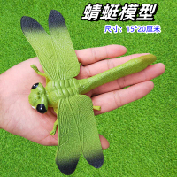 Realistic Big Spider Squeeze Toy Insect Model Toy Grasshopper Ladybug Toy Halloween Gift Creepy Horr