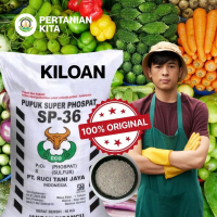Pupuk Ts Sp 36 Phospate Nonsubsidi Repack 1Kg ( bisa cod)