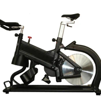 Real Ryder Indoor spin bike swing exercise bike