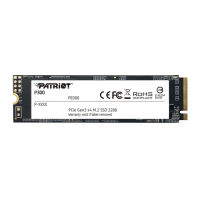 【PATRiOT 博帝】P300 M.2 2280 PCIe Gen3x4 256GB SSD固態硬碟