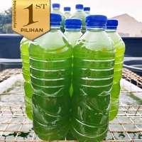 Air Hijau Chlorella Phytoplankton Rahasia Ikan Hias Sehat dan Besar