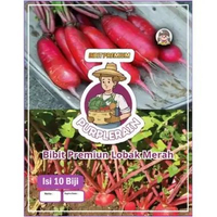 Bibit Premium Lobak Merah Rosy | Benih Lobak Merah Rosy | Lobak Merah