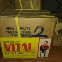 Vital chain block 1 ton x 5 meter