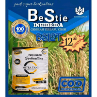 bibit padi BS12T GENERASI CIBESI real 5kg untuk pengiriman bisa cod