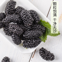 【饞到家 黑桑葚幹】蜜樂莊園 新疆特級 野生黑桑葚幹 桑椹子 桑果 桑仁 桑果 乾即食泡水茶喝
