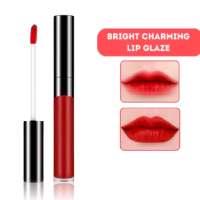 Bright Velvet Lip Glaze Lipstik