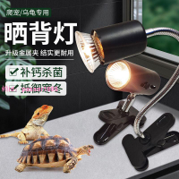 烏龜曬背燈加熱保溫燈uvb+uva太陽燈爬寵加熱龜缸燈保溫