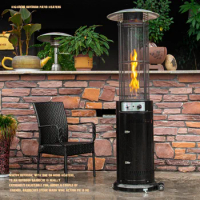 Outdoor Commercial Patio Heater Gas Heater Garden Restaurant Liquefied Gas Heating Stove Natural Gas Heating Stove Home Heater Z