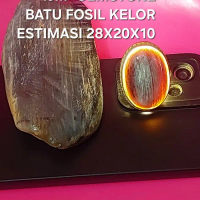 Batu Fosil Galih Kelor Super Kristal Estimasi 28x20x10. Kualitas  HQ