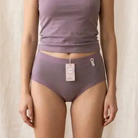 Celana Dalam Wanita CD Wanita Oreo 6895 Lentur Elastis Thistle 2XL