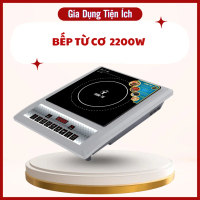 Bếp từ + nồi lẩu (inventer siêu tiết kiệm điện) Trường Thọ BA 228 - Bảo hành 12 tháng
