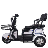 China 3 Three Wheels Electric Tricycle for the Elderly 3 Wheel Electric Mobility Scooter