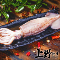 【上野物產】12隻 台灣產 魷魚冰捲(250g±10%/隻)