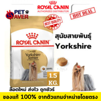 Royal Canin Yorkshire Terrier adult 1.5kg สำหรับสุนัขโต พันธุ์ ยอร์คเชียร์ เทอร์เรีย 1.5 kg เม็ดเล็