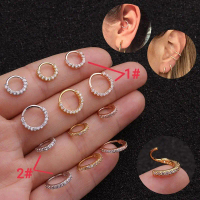 Hot Selling⚡️1/2pcs nose ring&fake nose & earring (EG5) Hot sale zircon helix round earring with mic
