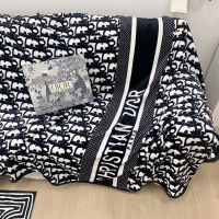 DIOR大毛毯毯❤️