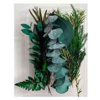 【A-ONE】乾燥花 永生花 壓花材料包DIY香薰蠟燭 手作授課 活動團扇材料包 相框乾燥花 手作花 A01 翠綠大地