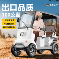 電動車 四輪車 三輪車 代步車 老年代步車 客貨兩用車 免運 開立發票 三輪電動車老年人代步車成人客貨兩用電瓶車接送孩子觀光車小巴士