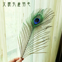 大眼孔雀羽毛/聖壇羽毛(風元素) 儀式 聖壇 天然 淨化 薩滿 巫師 空間淨化 拍攝道具 逗貓道具 逗貓棒材料 聖哲曼