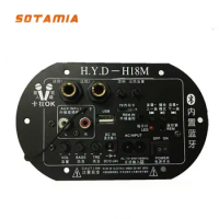 SOTAMIA Bluetooth Power Amplifier Audio Board 12V 24V 220V Dual Microphone Subwoofer Amplifier 30-150W Speaker Car Home Theater