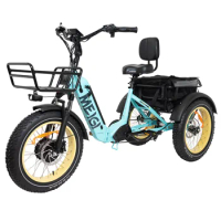 2024 Electric Tricycles 3 Wheel Electric Cargo Bike With Differential Electric Tricycles Best Sell Tricycle Electric Bike