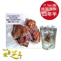 百年永續健康芝王 (四年半) 特頂大球菇牛樟芝/菇 生鮮品 37.5g/1兩